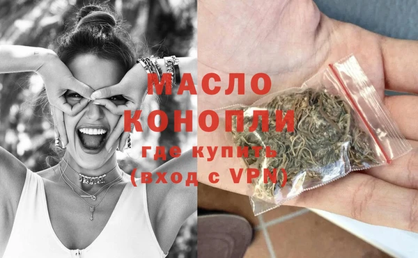соль ск Дмитров